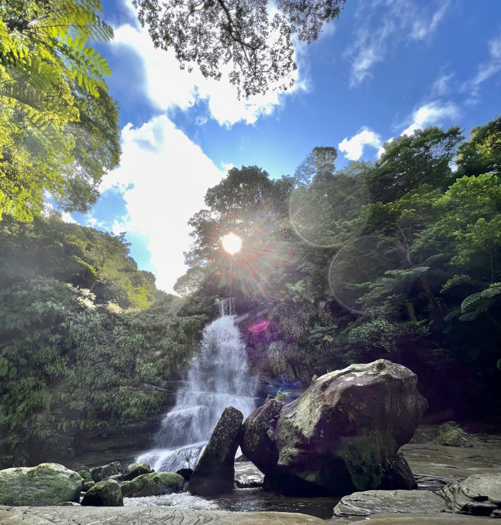 【10月21〜24日西表島】”生きる”を感じる　命が輝くアイランドワーク